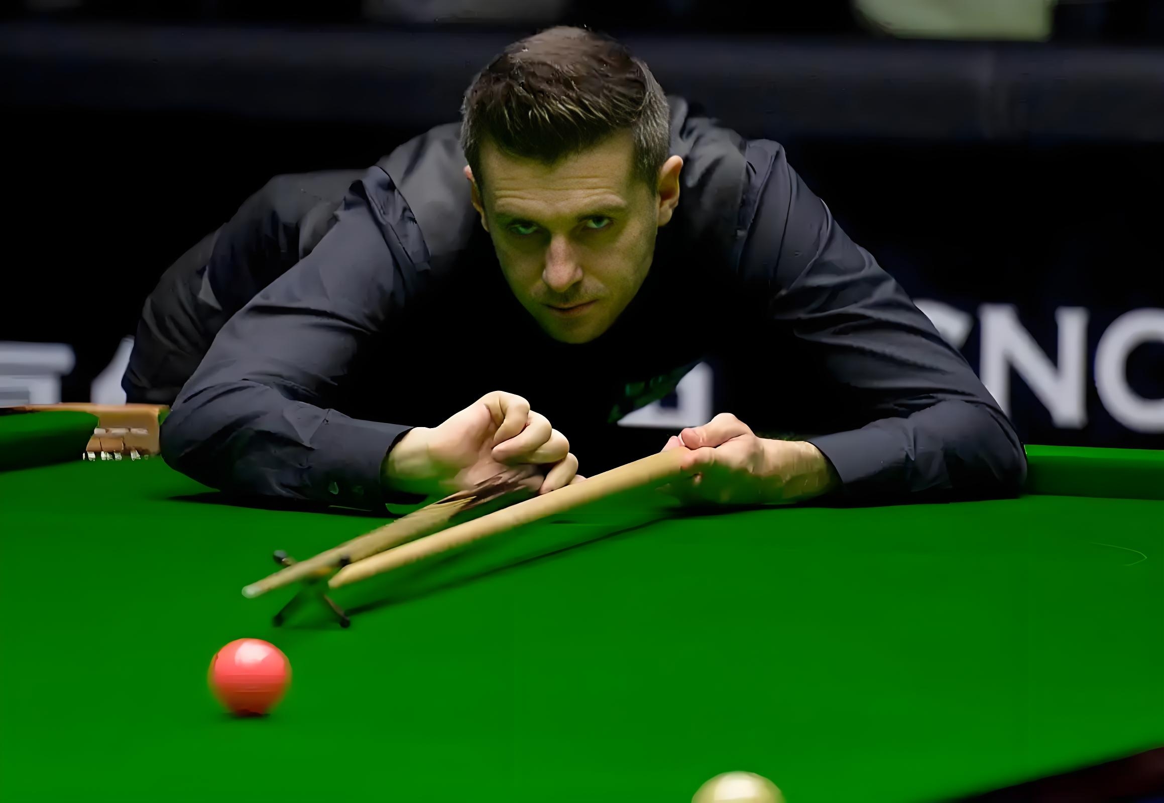 成年人都可 成年人都可