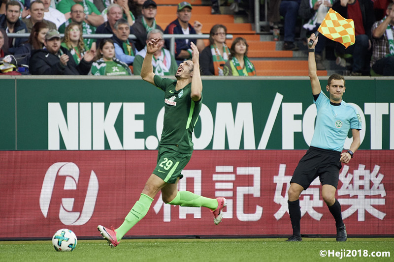 辅以队友T 辅以队友T